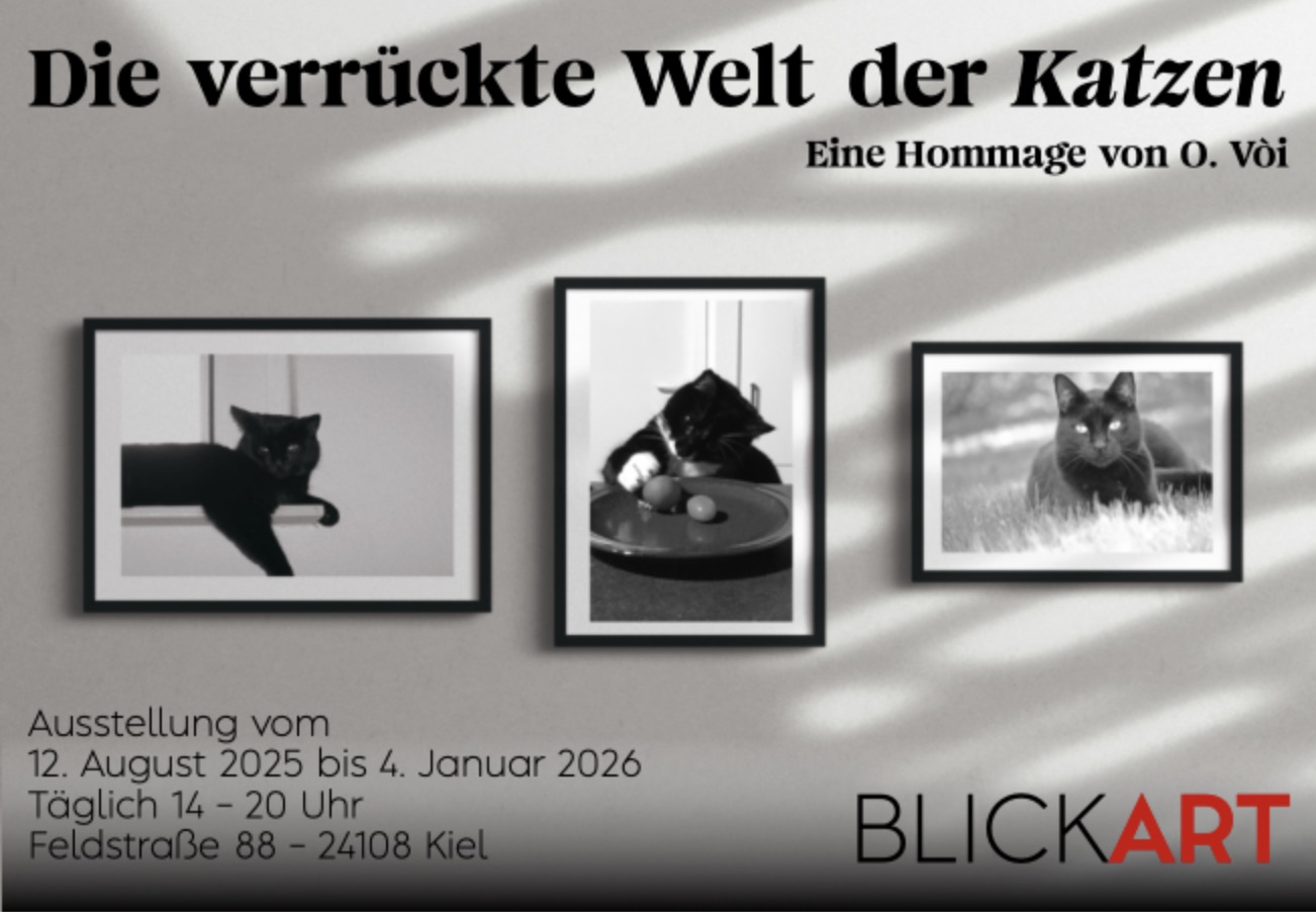 beispiel_verlaufendes_raster_in_transparenz.jpg