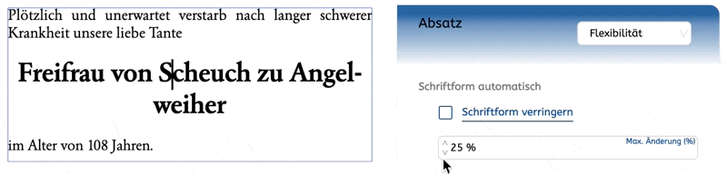 stylo_ni_absatzformat_flexi_example.gif