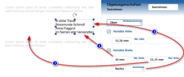 stylo_variable_with_example.png