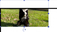 ad_crop_on.png