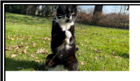 ad_crop_inner_on.png
